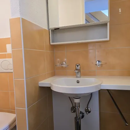 Fortuna 316 Daire Leukerbad